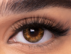 Freshlook pure hazel one month